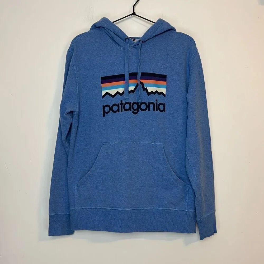 Patagonia M's Line Logo Midweight Pullover Hooded Sweatshirt XS